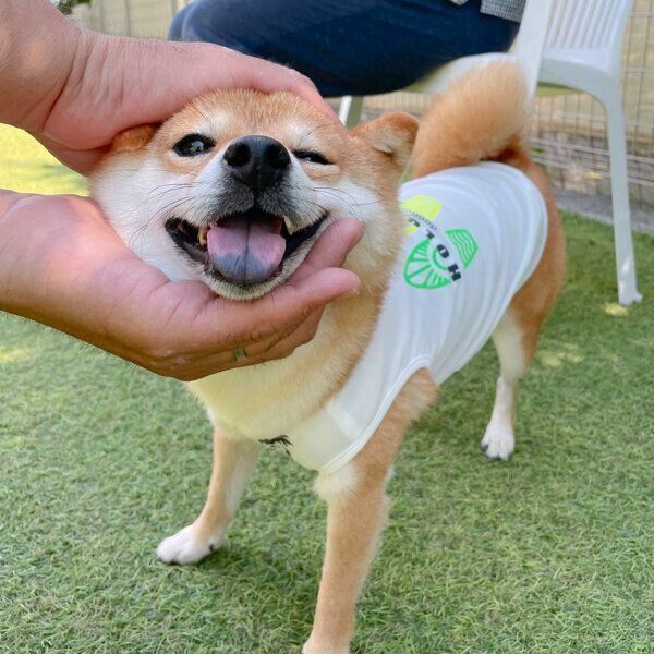 嬉しそうなちくわくん