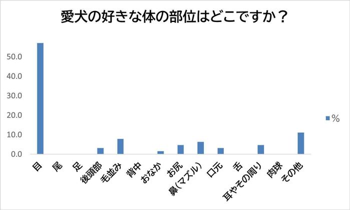 愛犬の好きな体の部位は?