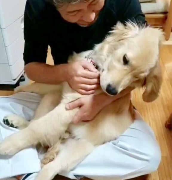 パパさんに抱っこされるアランくん