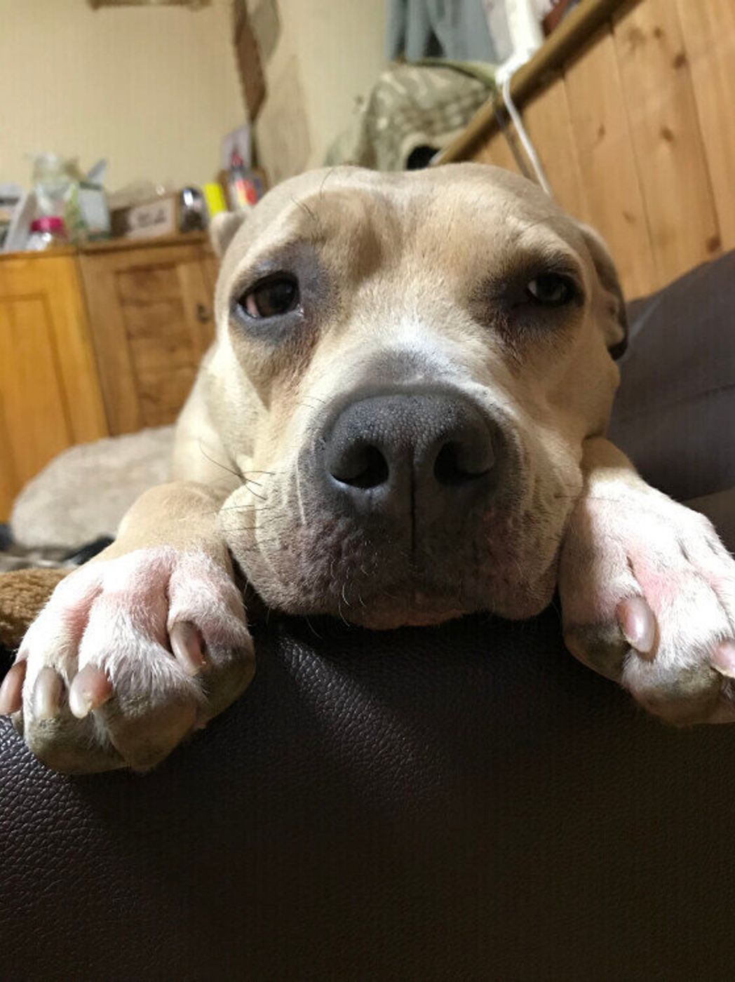 Mya1feahih3lkm Mya1feahih3lkm