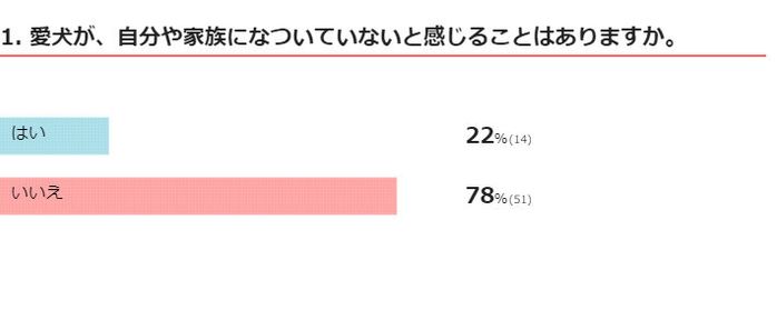 愛犬が自分や家族になついていないと感じることはある?