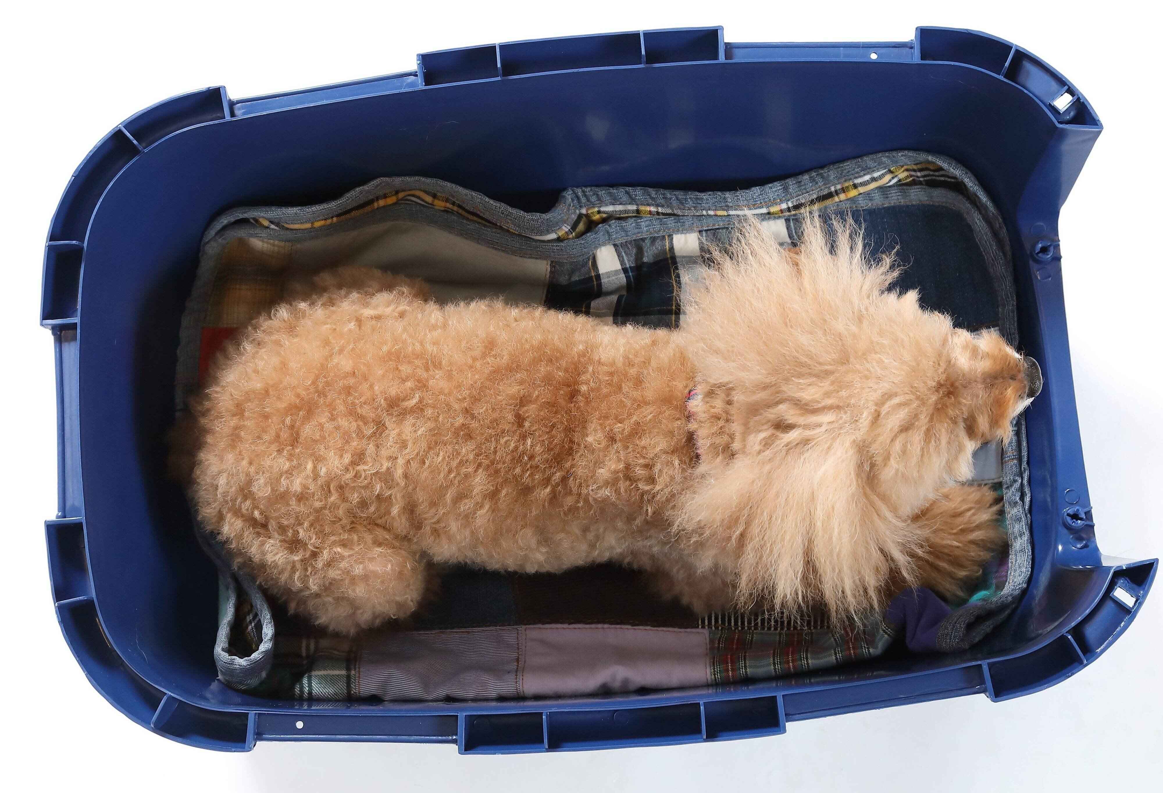 写真／尾﨑たまき