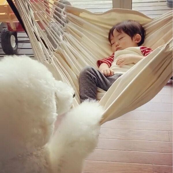 ハンモックでむぎくんを寝かしつけるりっくん