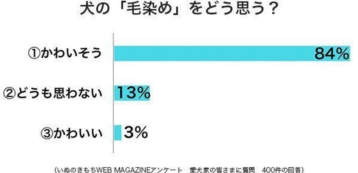 犬の 毛染め は かわいい かわいそう リスクについて獣医師の見解は いぬのきもちweb Magazine 犬の 毛染め は かわいい かわいそう リスクについて獣医師の見解は いぬのきもちweb Magazine