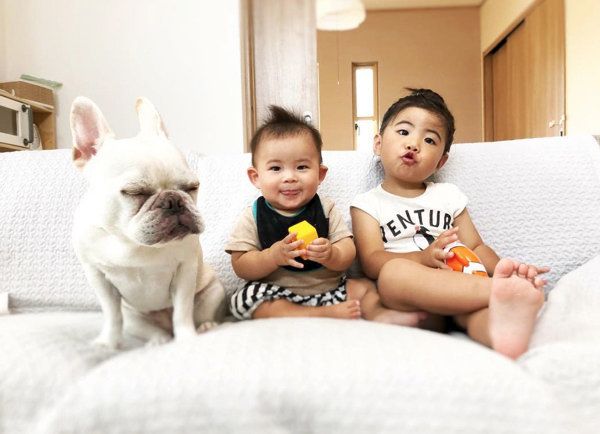 子どもと仲良しなフレンチ・ブルドッグ
