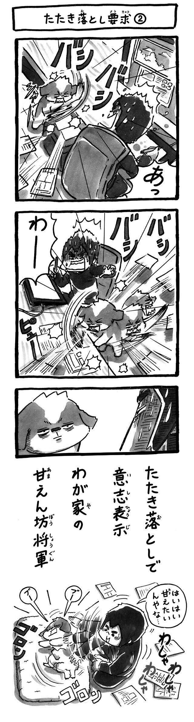 シーズー犬マンガてんぽshihtzu