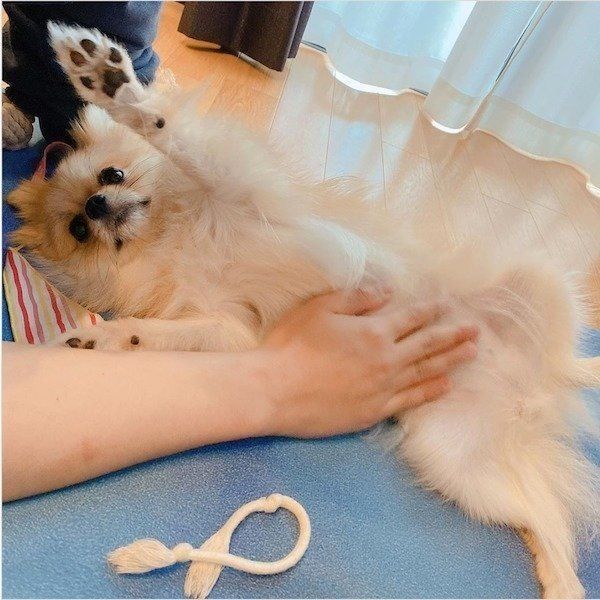 甘えるゆきみちゃん