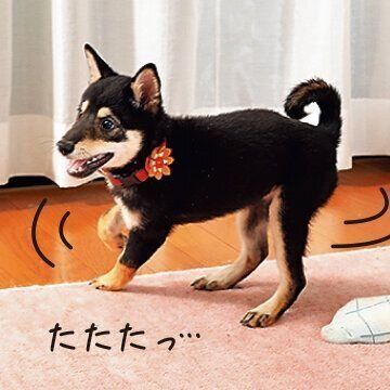 撮影／尾﨑たまき