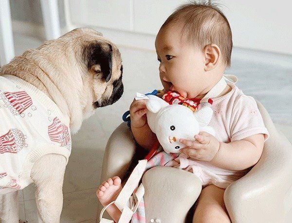 妹ちゃんとぱぐぞうくん