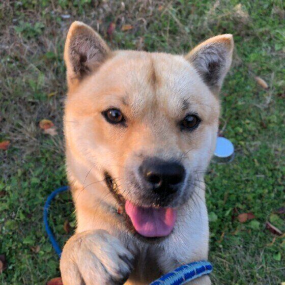 北海道の文太ちゃん