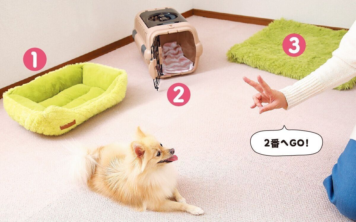 撮影／尾﨑たまき