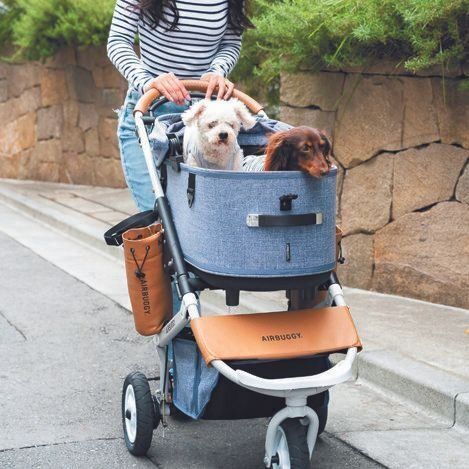 Uさん定番のお出かけスタイル。ペット用バギーは、キャリー部分とカートがセパレートになるタイプなので、とても便利だそう