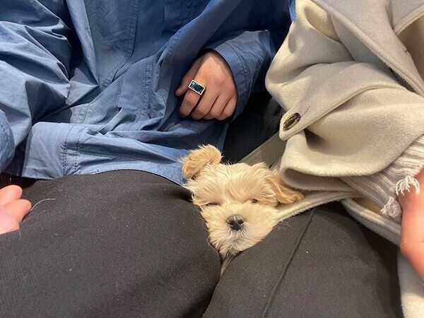 飼い主さんに甘えるくまくん