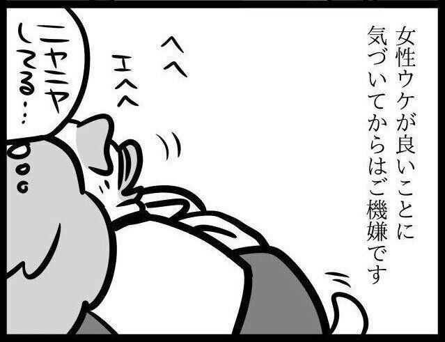 いぬのきもちWEB MAGAZINE『抱っこされてる自分ってかわいい…|連載「パグ犬・めー」』ol.37