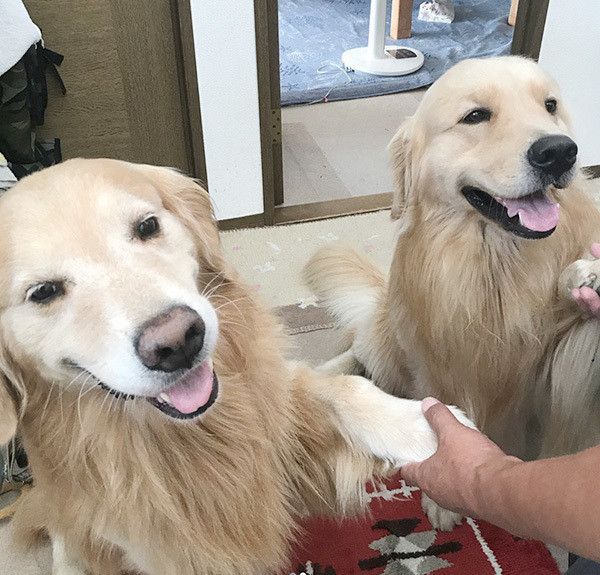 華丸くんと喜八くん