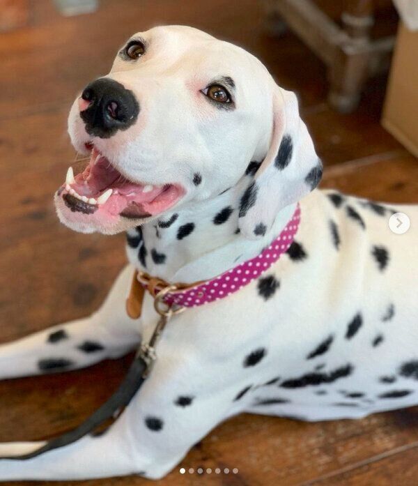 笑顔のリタちゃん