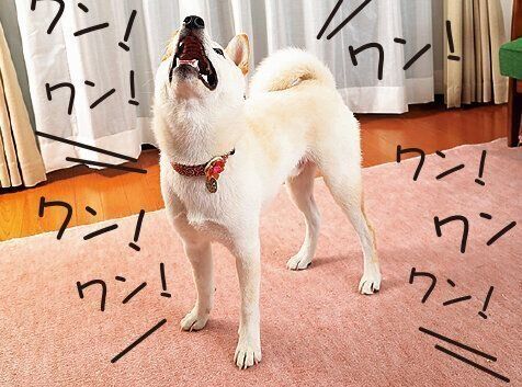 近隣の迷惑や体の負担に