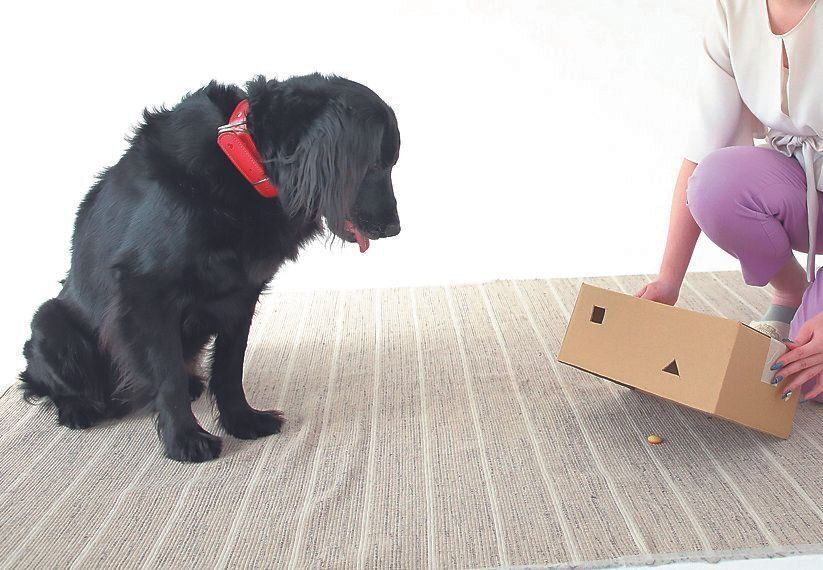 撮影／尾﨑たまき