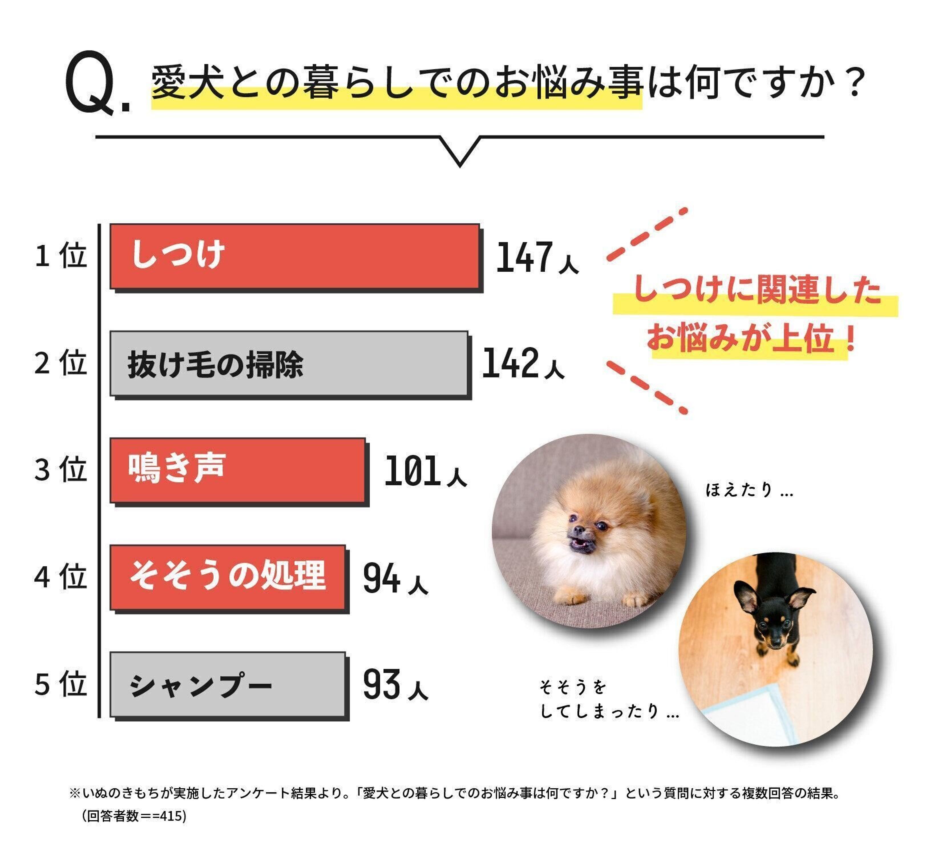 Pr 名もなきペット家事 いぬ編 Vol 3 愛犬のしつけやそそうの処理 妻が負担する割合は夫のなんと3倍 暮らしの中で解決する方法とは いぬのきもちweb Magazine Pr 名もなきペット家事 いぬ編 Vol 3 愛犬のしつけやそそうの処理 妻が負担する割合は夫のなんと3倍 暮らしの中で解決する方法とは いぬのきもちweb Magazine