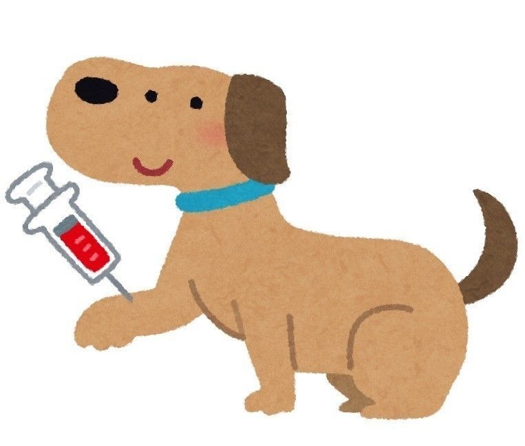 犬にも血液型ってあるの 人と同じように血液型別の性格診断できる いぬのきもちweb Magazine