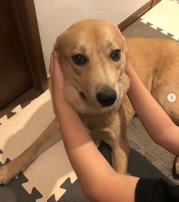 さくらちゃん