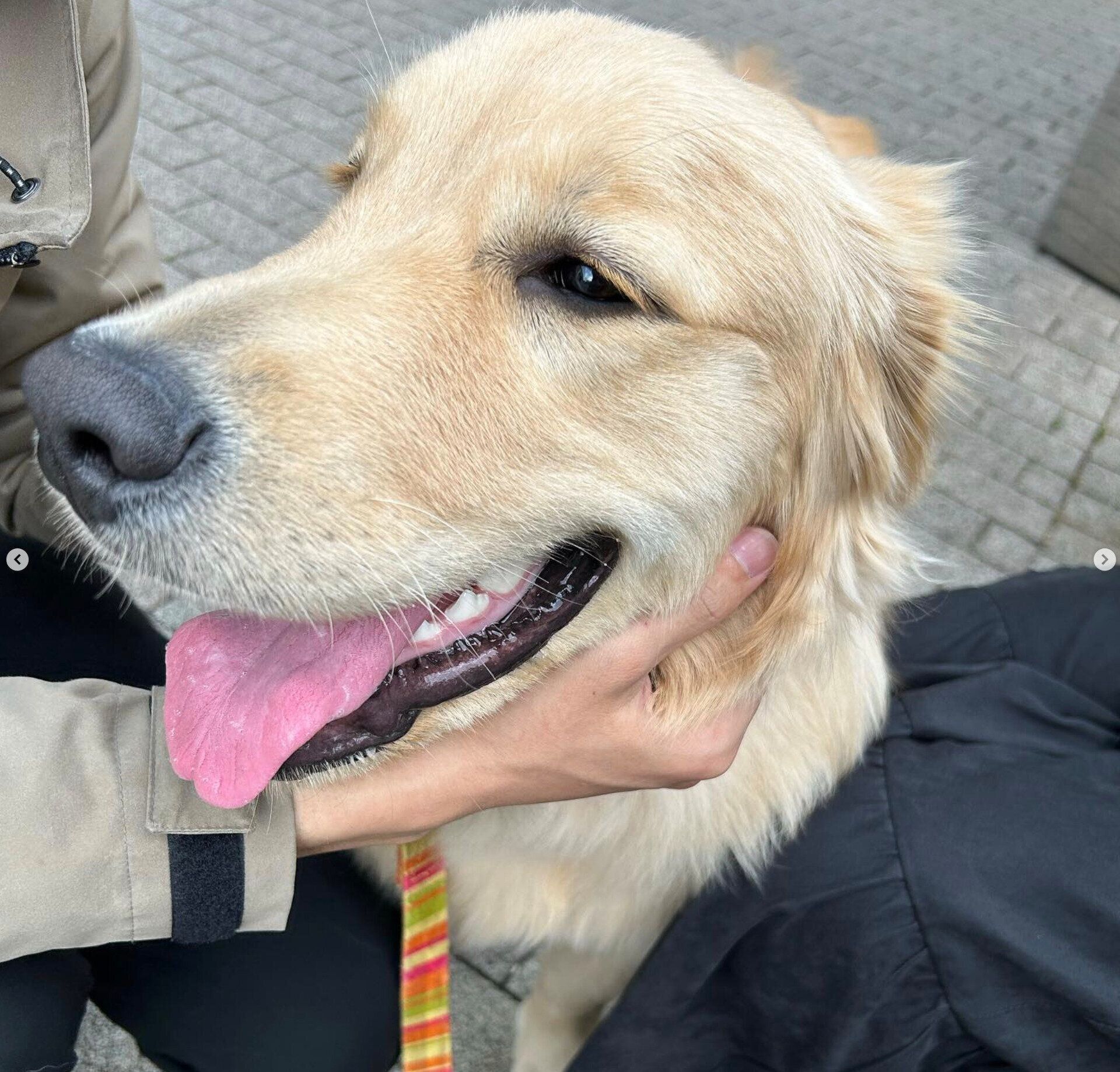 笑顔のアルくん