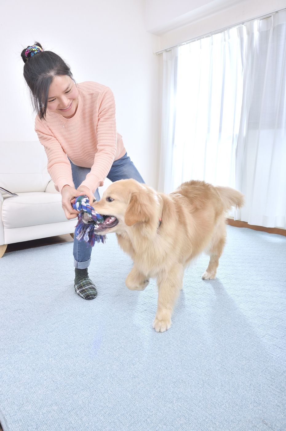 えっ それだけの理由 愛犬が突然 飼い主さんの手や服を噛むのは だから が多かった いぬのきもちweb Magazine えっ それだけの理由 愛犬が突然 飼い主さんの手や服を噛むのは だから が多かった いぬのきもちweb Magazine