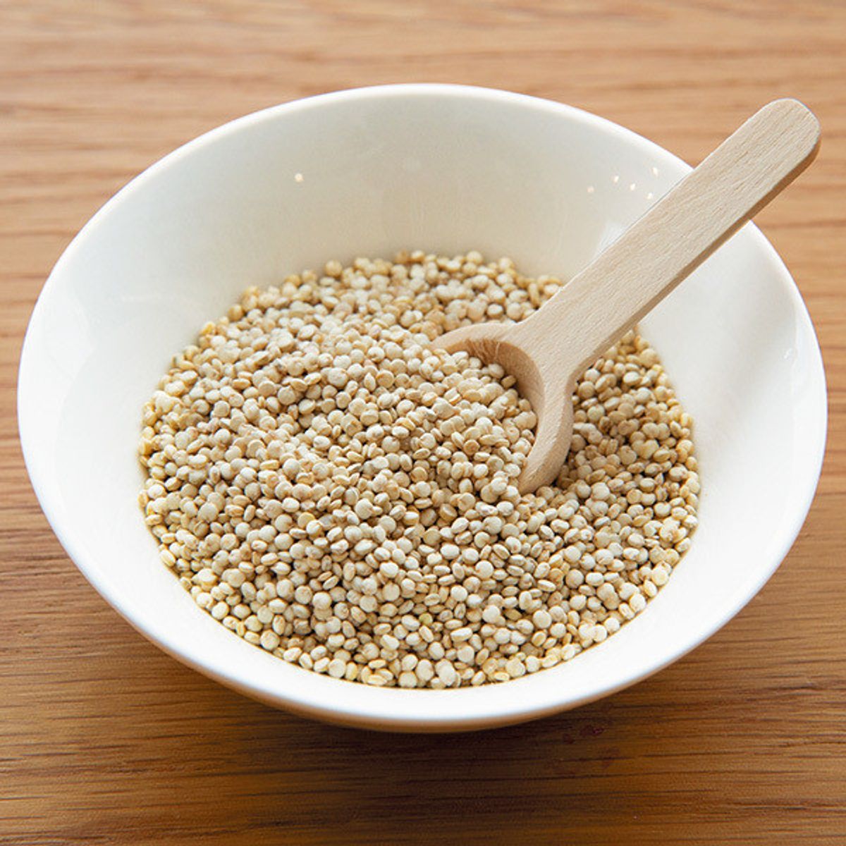 注目の健康食材 シード だけど 犬に与える際には注意して いぬのきもちweb Magazine