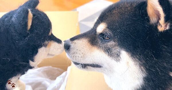 ジョナスくんとチビジョナスくん