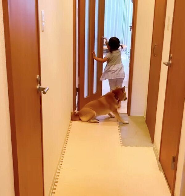 ドアを開けることに成功した妹さんと、起き上がる小春ちゃん