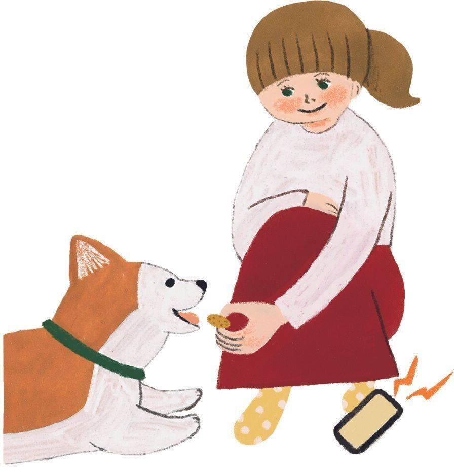 イラスト／macco