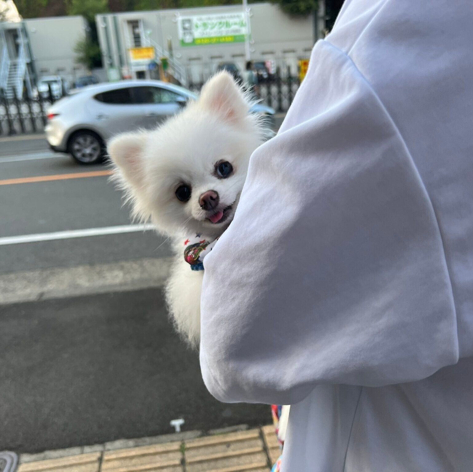 パパに抱っこをされる太郎くん