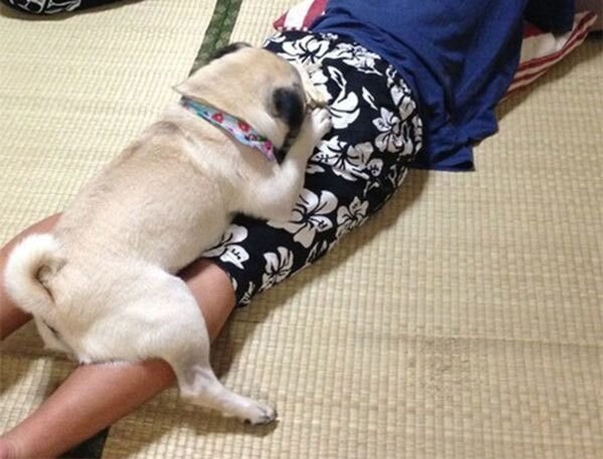 当時のメディア報道・掲載写真