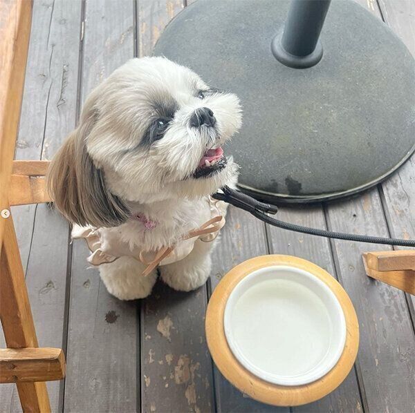 笑顔のぽんぷぅちゃん