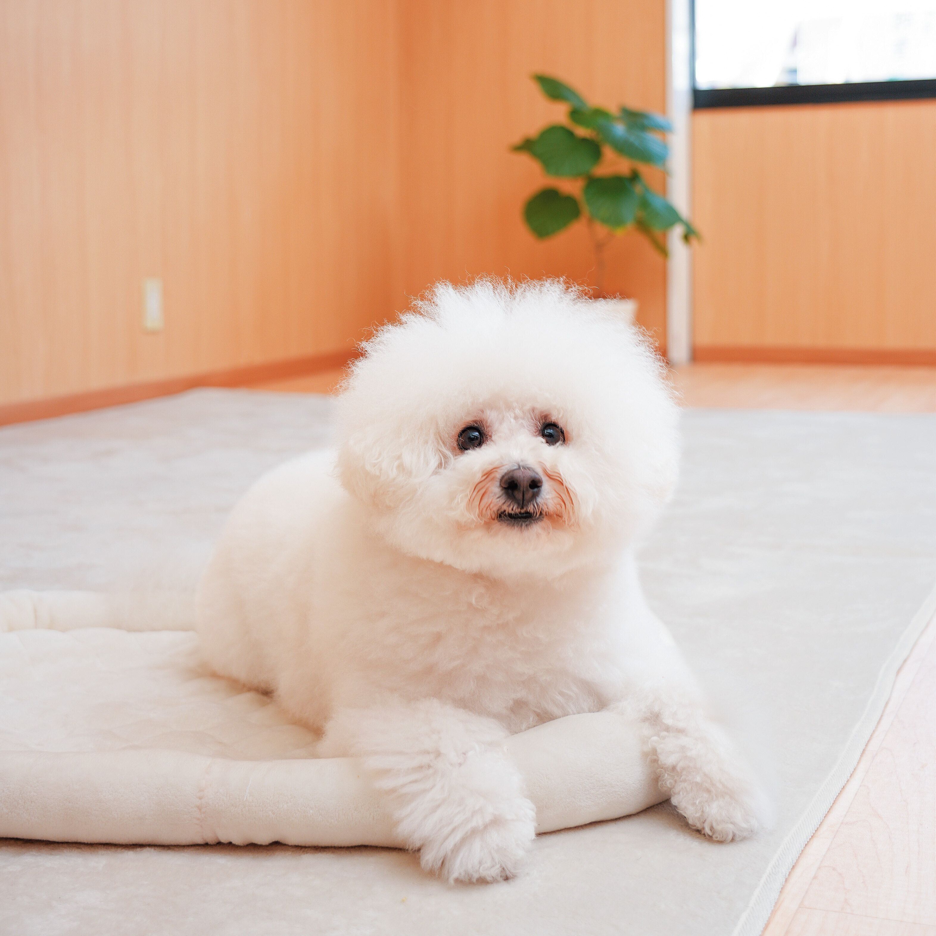 撮影／殿村忠博