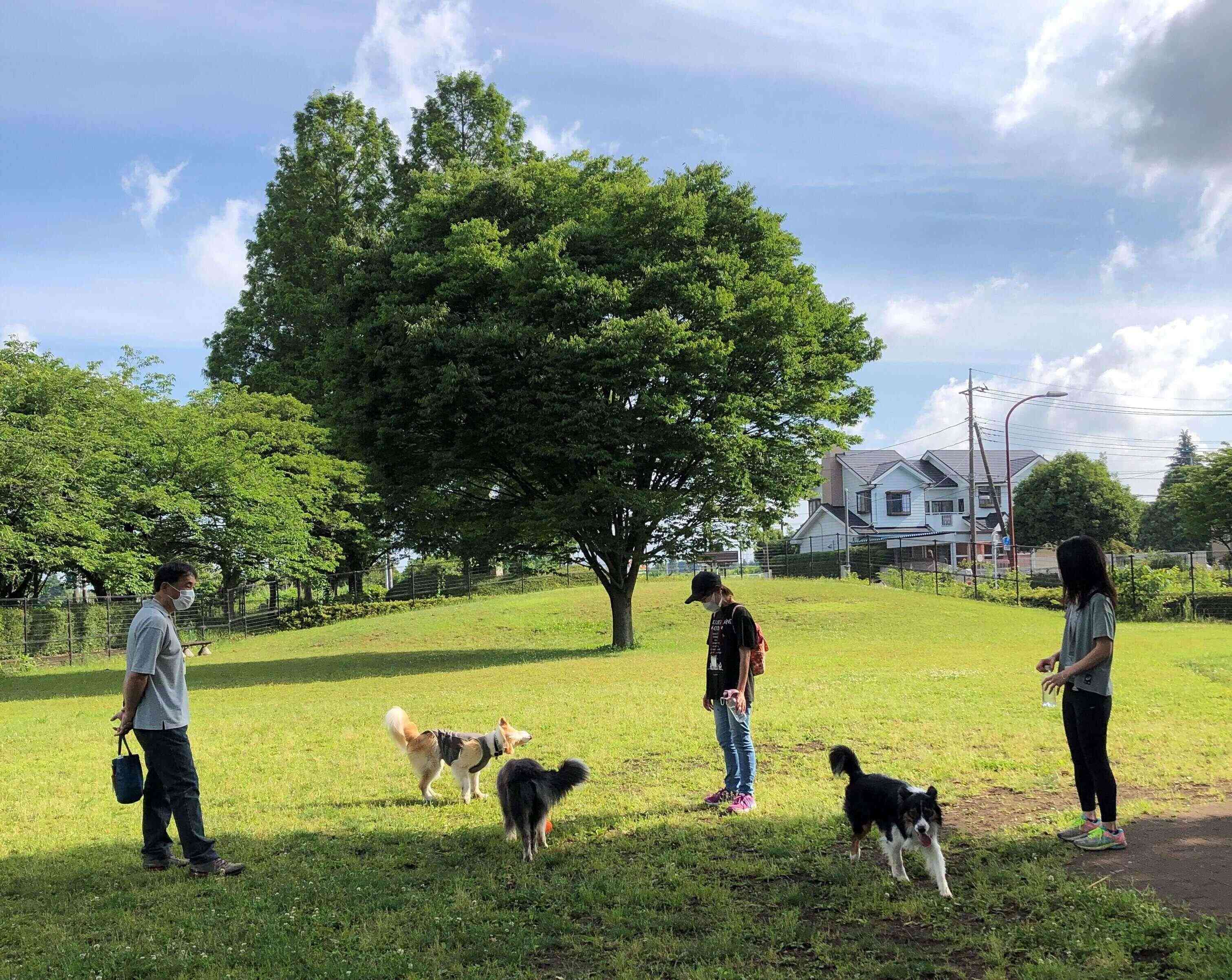 ドッグランで遊ぶ飼い主と犬