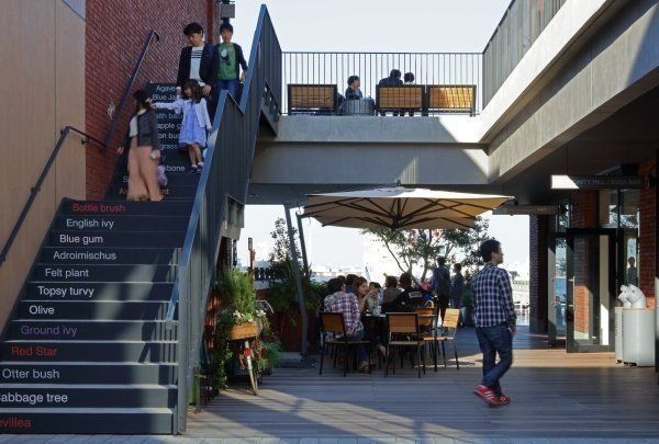 MARINE & WALK YOKOHAMAの一部飲食店のテラス席では、ペットと一緒に食事をすることも可能。