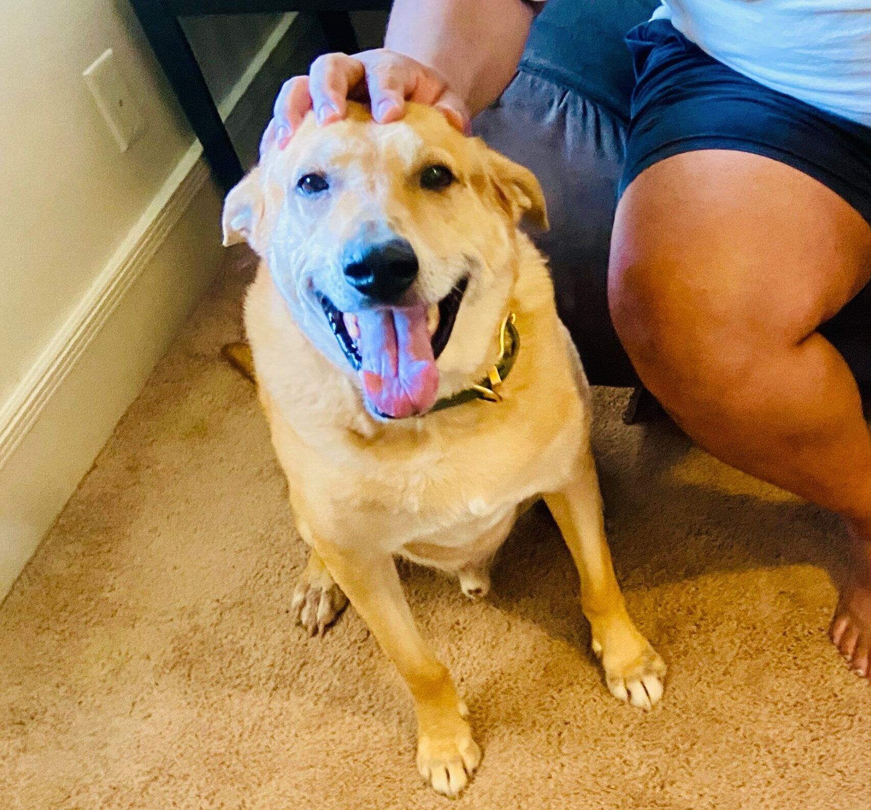 ニコニコ顔のリンちゃん