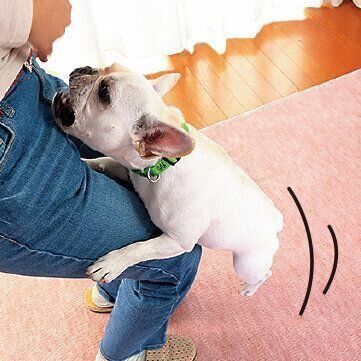 思わぬ事故の原因に