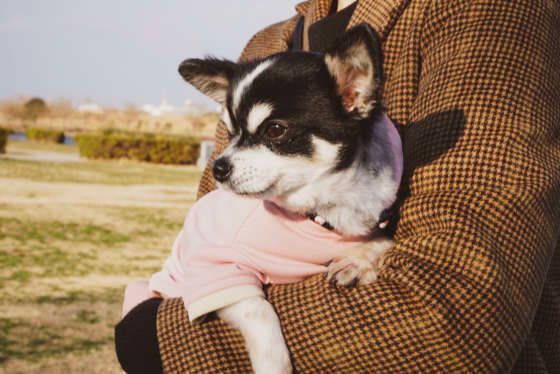 だっこ大好き！