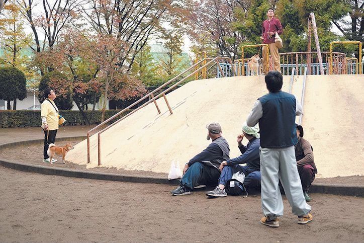 (C)2019「柴公園」製作委員会