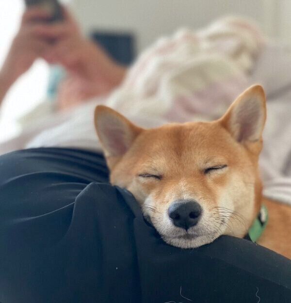 スヤスヤ眠るけんたくん