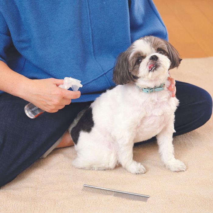 撮影/尾﨑たまき