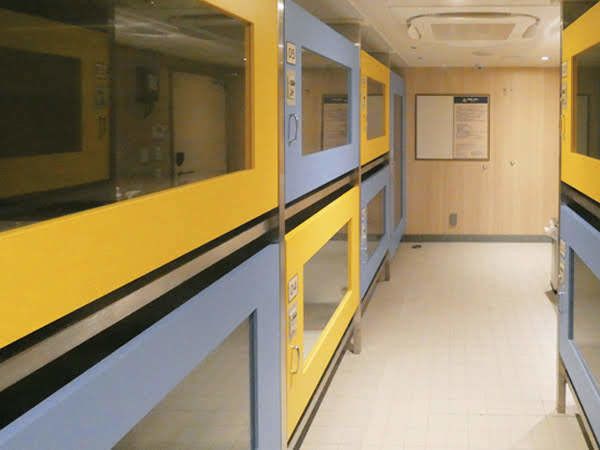 フェリーさんふらわあ提供