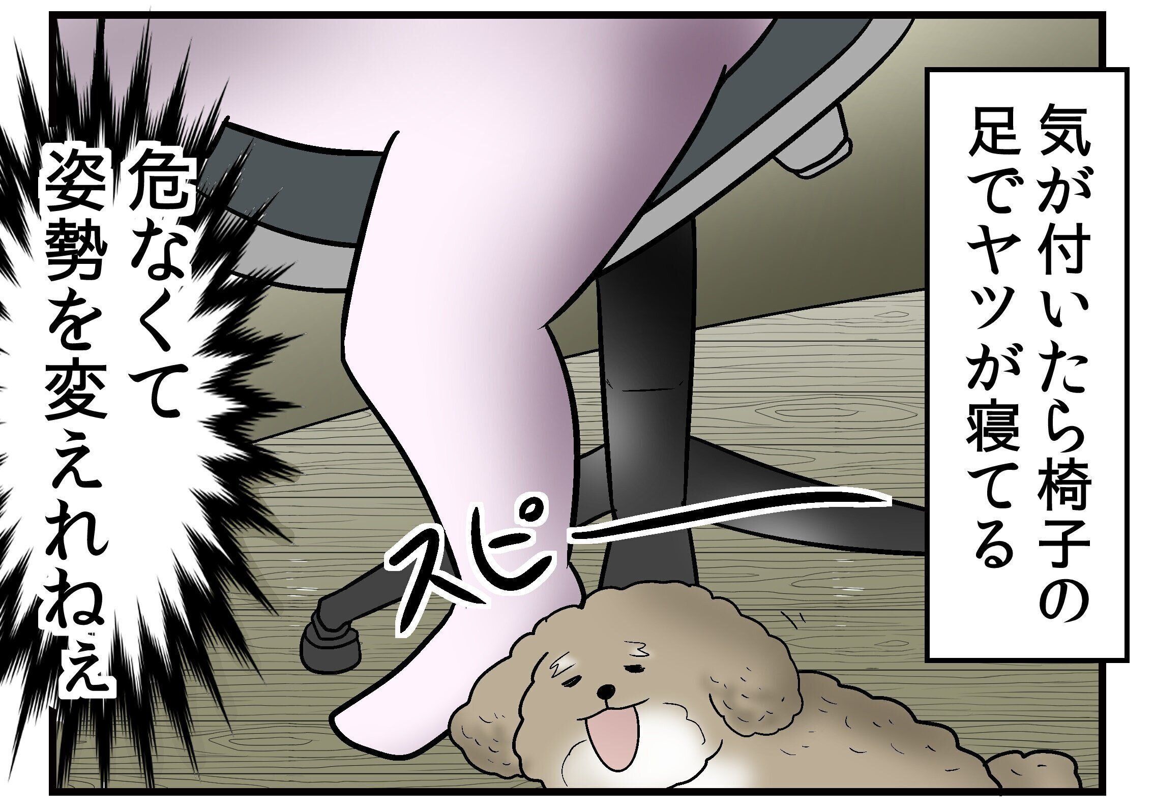 連載「やしろあずきときなこの日常」vol.12
