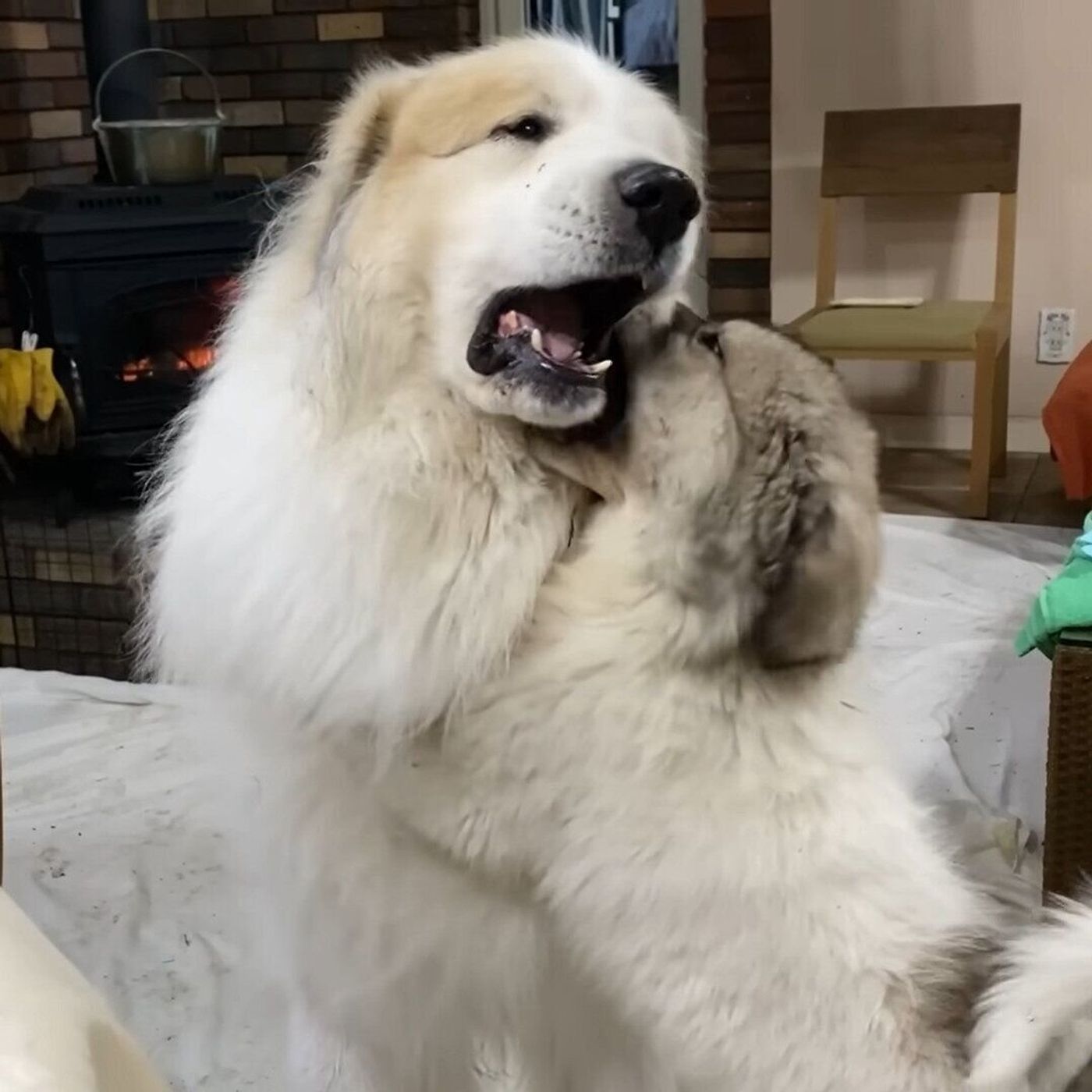 9rbbeqegs2hgbm 9rbbeqegs2hgbm