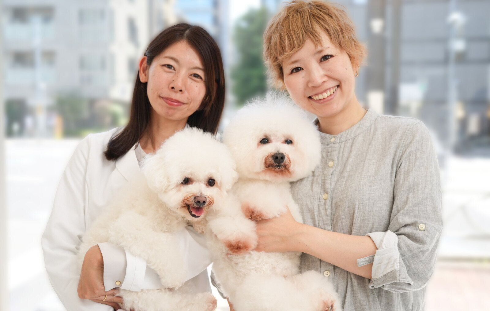 リファ リファファインバブル シャワーヘッド おうちシャンプー 愛犬シャンプー ビション・フリーゼ 江角先生 伊佐さん