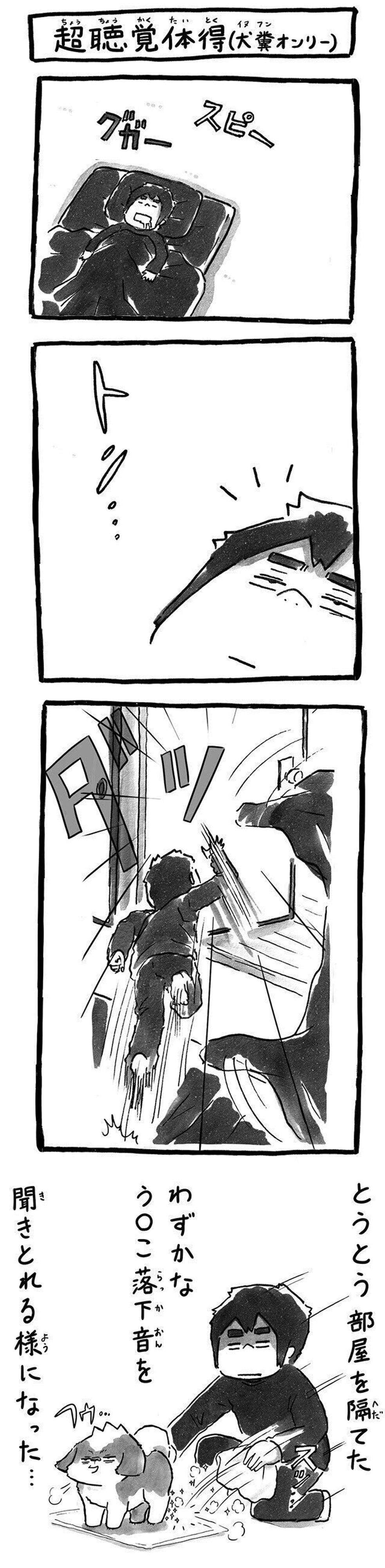 スーパーヒーローかな とうちゃんの特殊能力 超聴覚 発動 連載 シーズー犬のてんぽ 第145回 いぬのきもちweb Magazine スーパーヒーローかな とうちゃんの特殊能力 超聴覚 発動 連載 シーズー犬のてんぽ 第145回 いぬのきもちweb Magazine