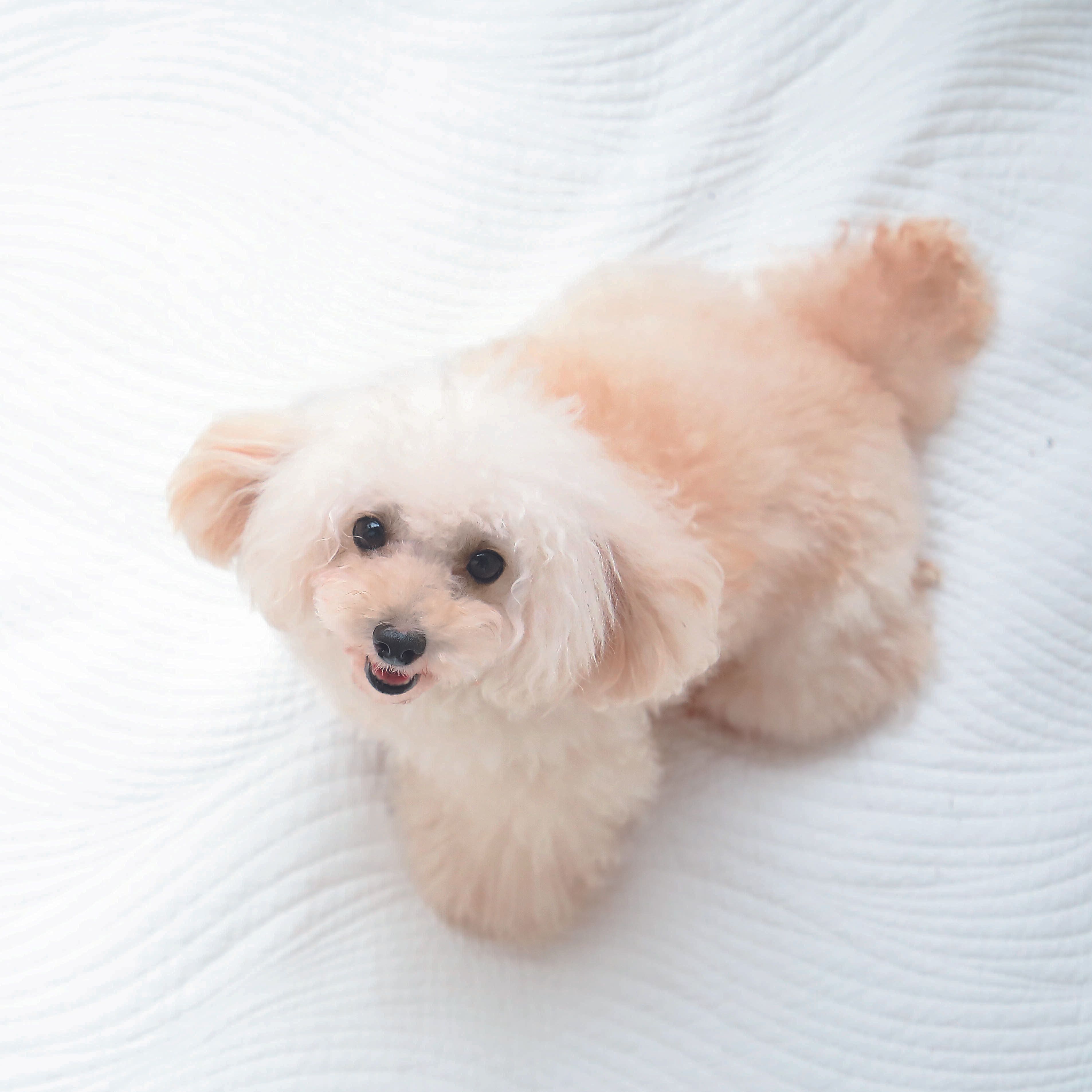 撮影／尾﨑たまき