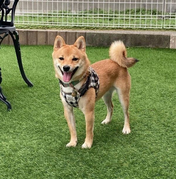 楽しそうなまるくん